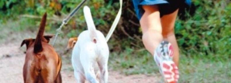 Atividade física: correr menos ou mais? Tanto faz